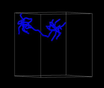 MDSimPolymer1.png